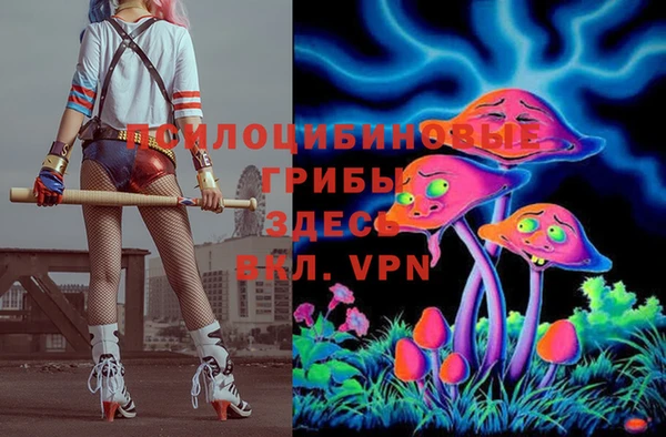 тгк Беломорск