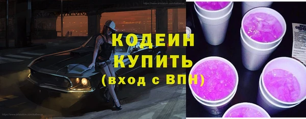 индика Баксан