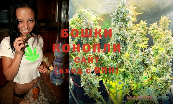 индика Баксан