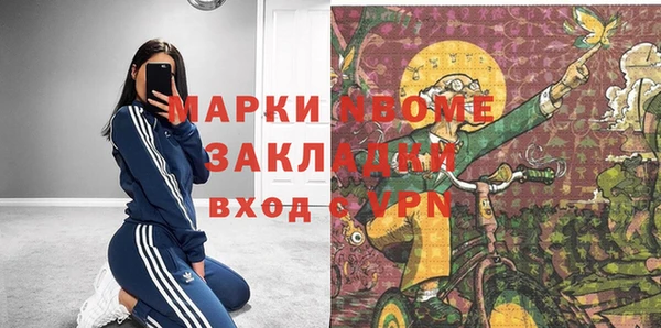 индика Баксан
