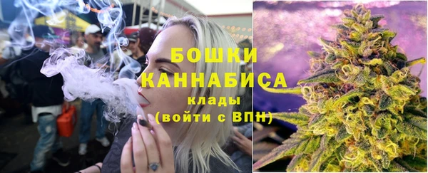 индика Баксан