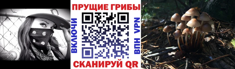 купить наркоту  Вуктыл  Галлюциногенные грибы GOLDEN TEACHER 